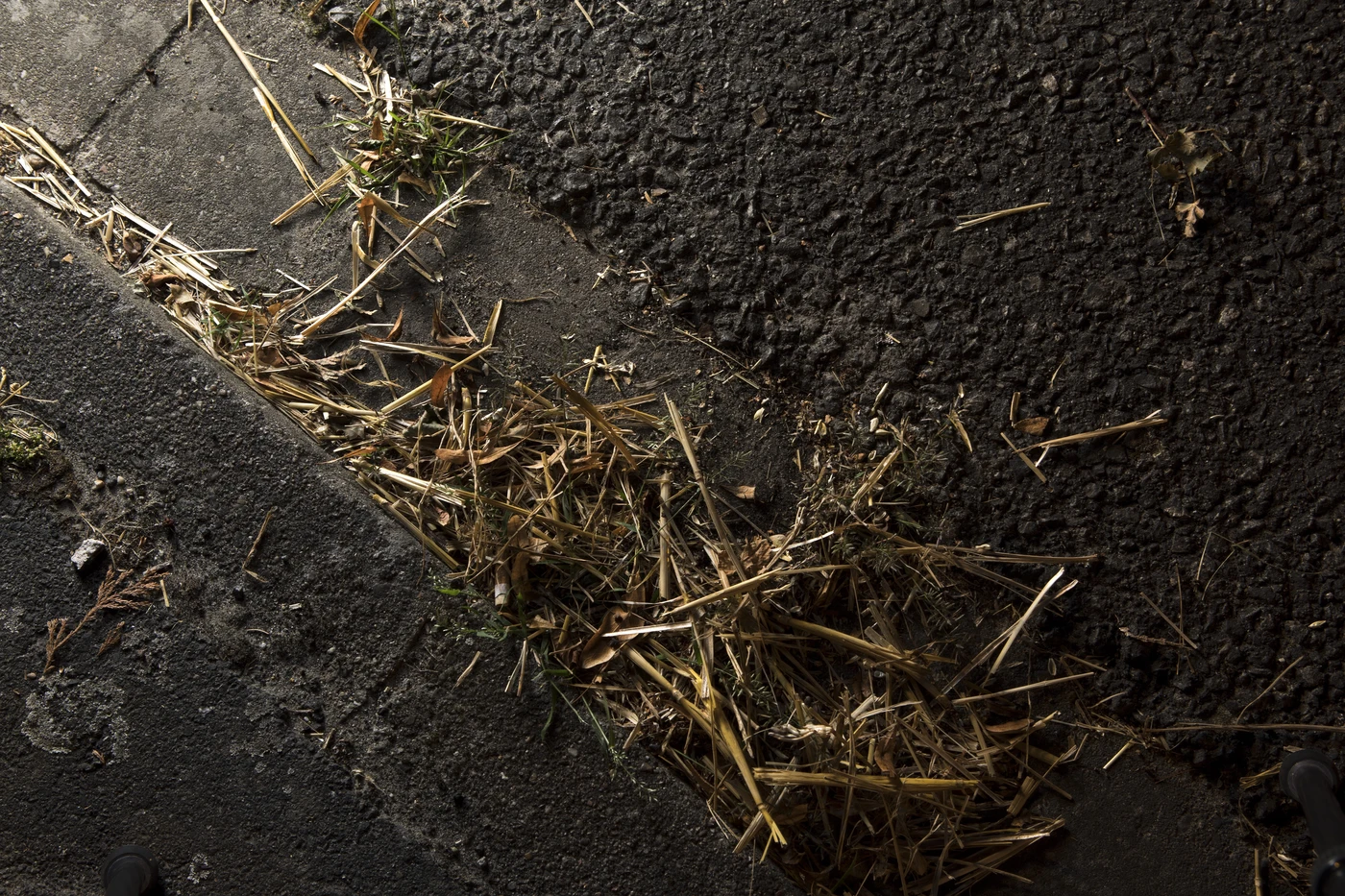 Hay, unrolled